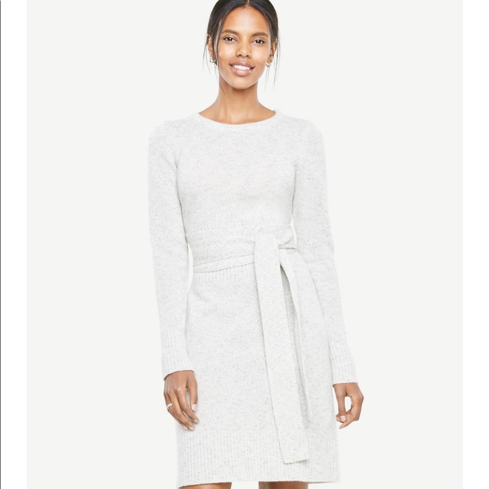 Ann Taylor Belted Sweater Dress